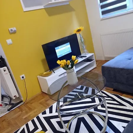 Sunflower * Sremska Mitrovica