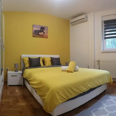 Sunflower Sremska Mitrovica