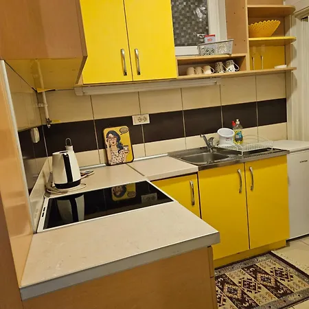 Sunflower Apartment