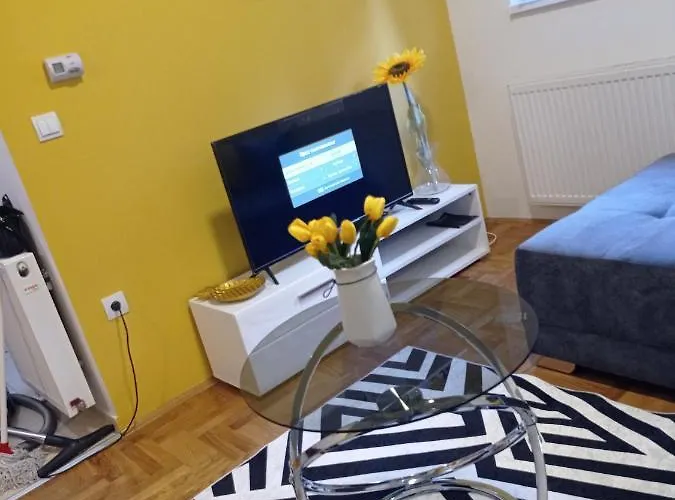 Sunflower * Σρέμσκα Μιτρόβιτσα