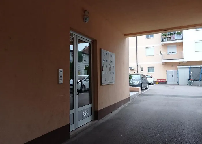 Sunflower * Σρέμσκα Μιτρόβιτσα